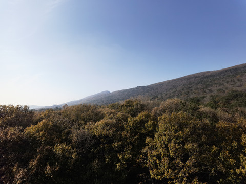 钟山风景区