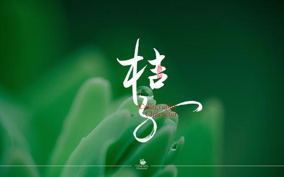 桔子書(shū)法字