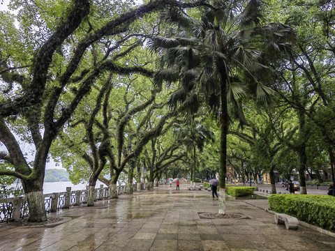 桂林山水城市景观