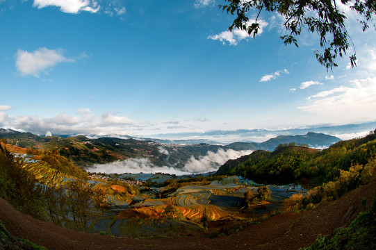 元阳梯田