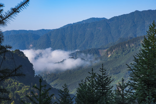 山景云雾