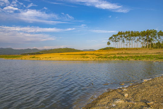 湖面湖泊水面自然风景风光