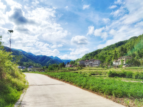 山区乡村夏日风光