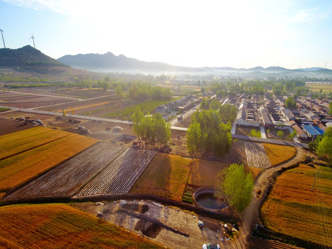 乡村的早晨