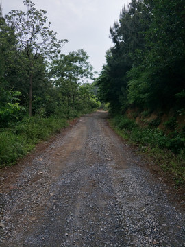 山路乡村