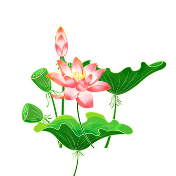 國風荷花元素