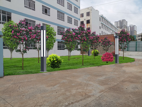 學(xué)校綠化及路燈