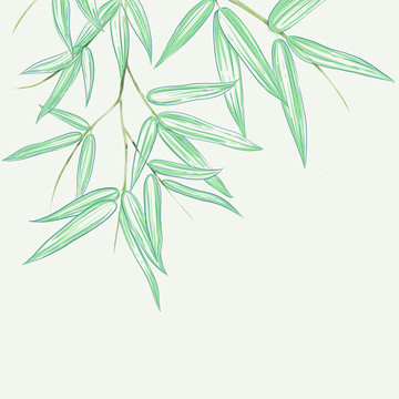 竹線