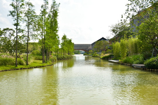 鹤山古劳水乡