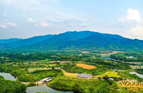 鹤山香草地