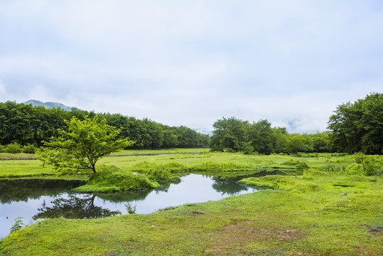 乡镇风光草地溪流