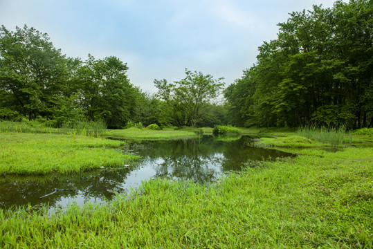 乡镇风光草地溪流