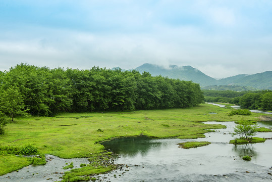 乡镇风光草地溪流