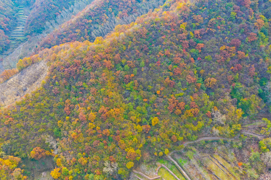 太行山嶂石岩