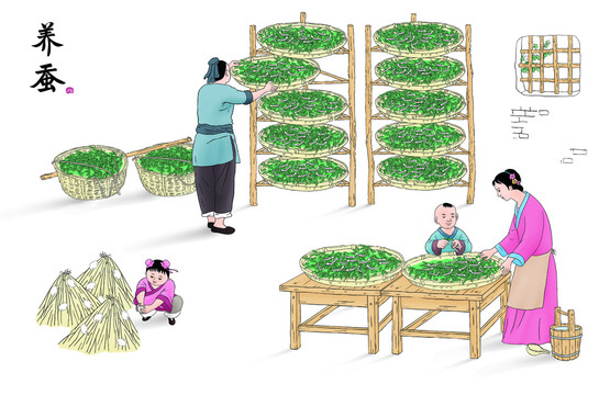 手繪插畫養(yǎng)蠶
