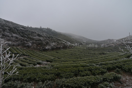 冬日中的云台山