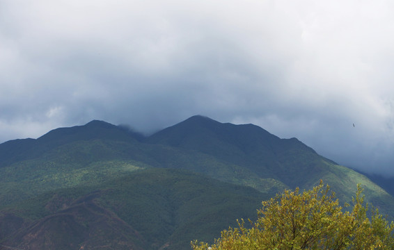 远看苍山