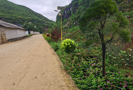 鄉(xiāng)村道路綠化