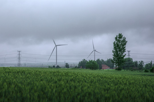 田野中的风力发电