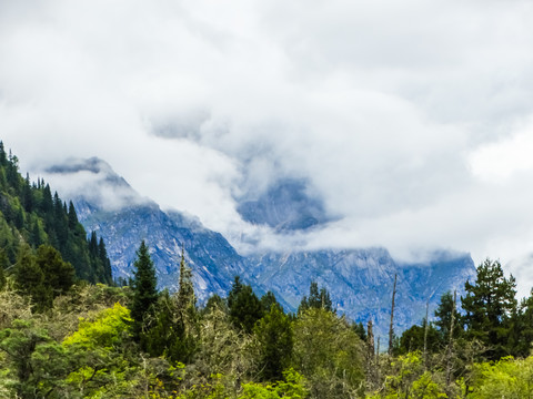 云雾山峰