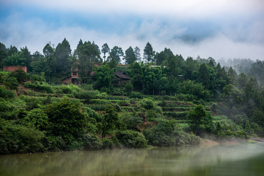 青山绿水