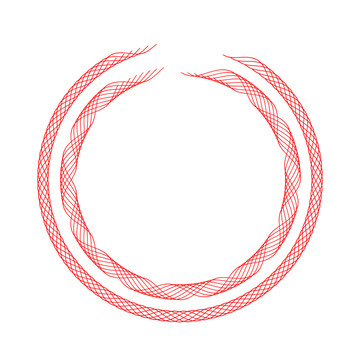 網(wǎng)狀圓環(huán)