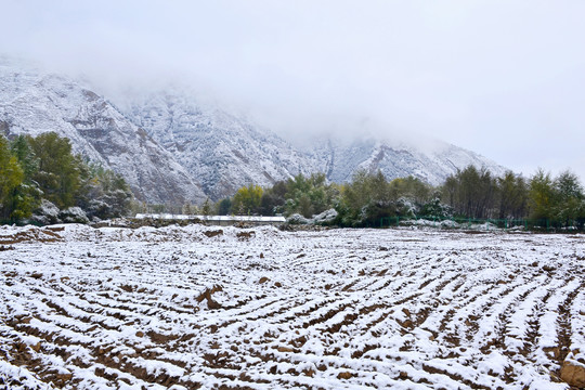 秋日早雪