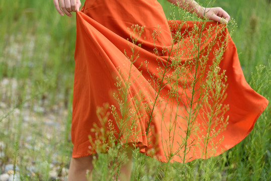 草丛里少女的长裙