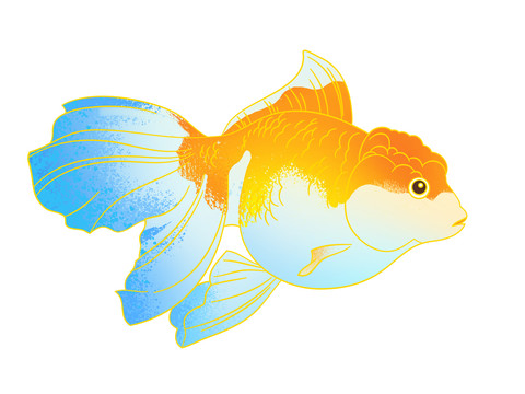 金魚
