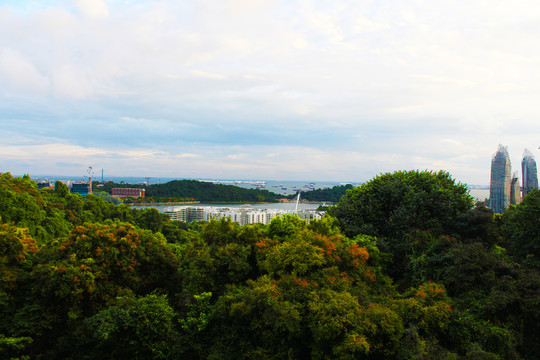 新加坡花芭山公园