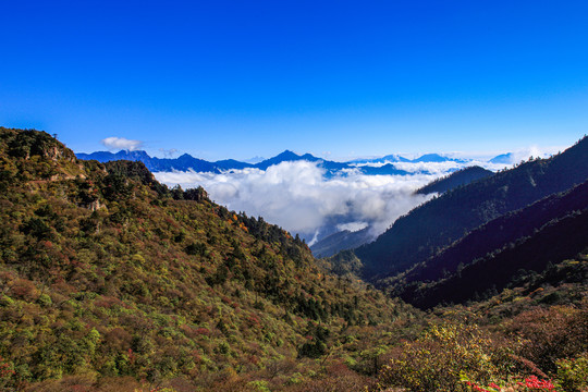 贡嘎雪山牛背山