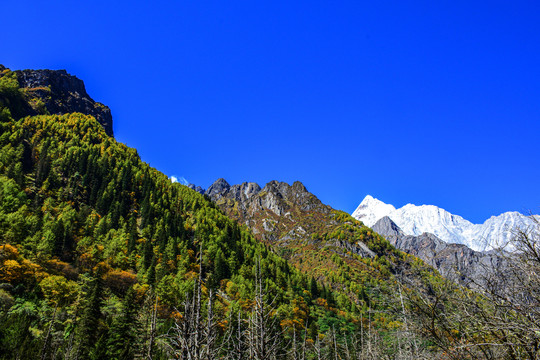 四川牛背山风光