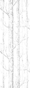 點(diǎn)狀圖