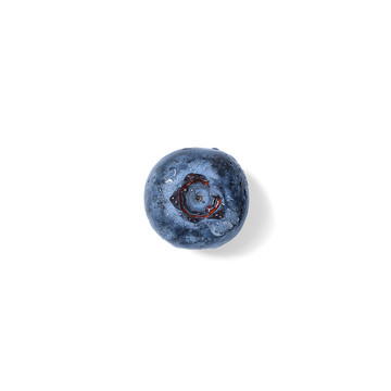 蓝莓白底图