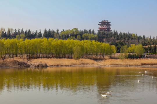 三门峡美景