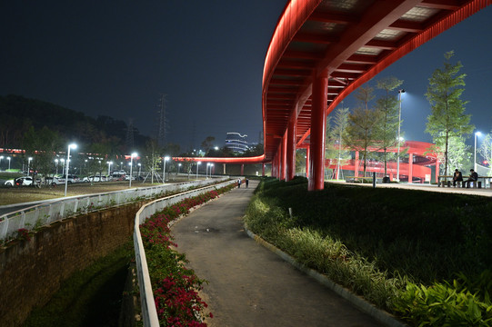 红桥夜景