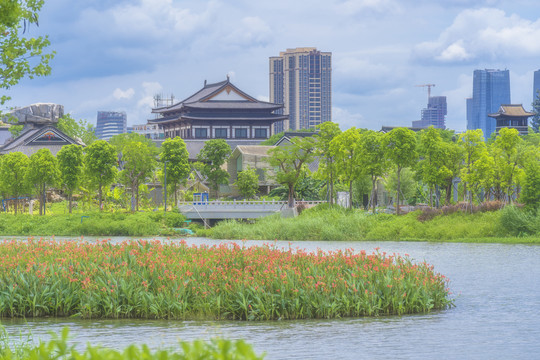 广州海珠湖公园