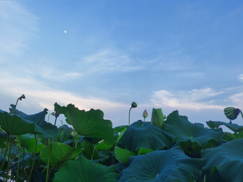 山水风光