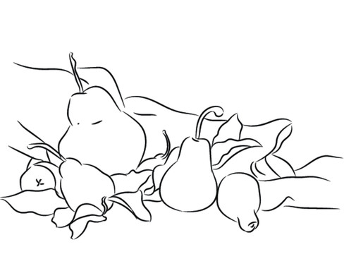 梨黑白插畫