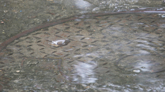 下雨积水城市排水下水道水井