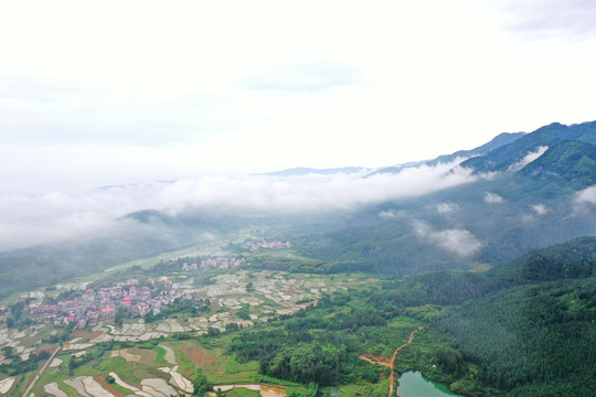 永新烟阁山林