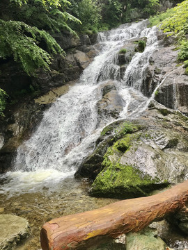 一木横水