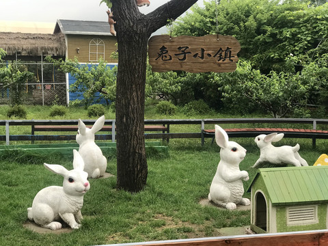 兔子小镇