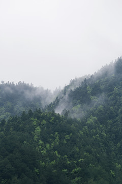 深山云雾