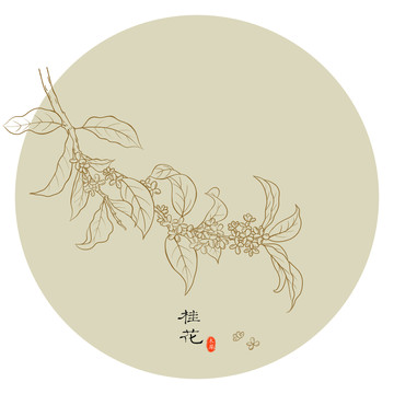 线描桂花