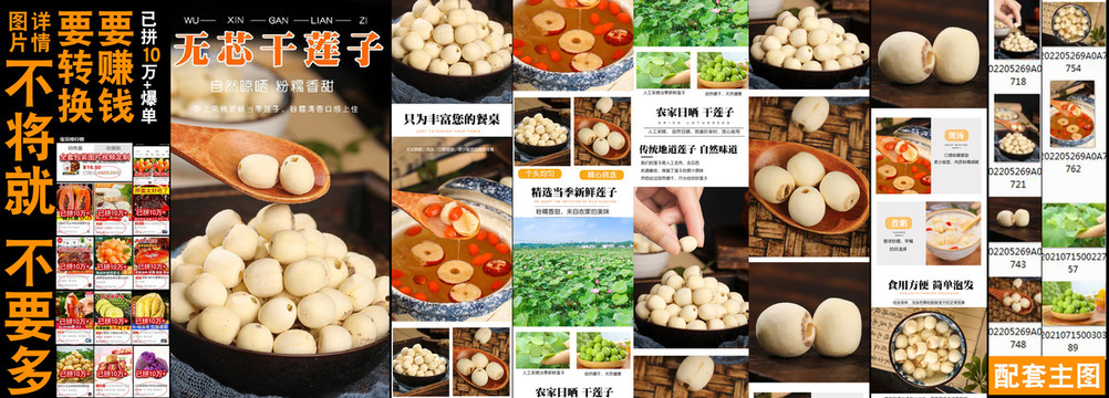 無芯干蓮子詳情