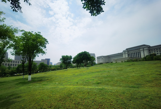 城市草坪天空