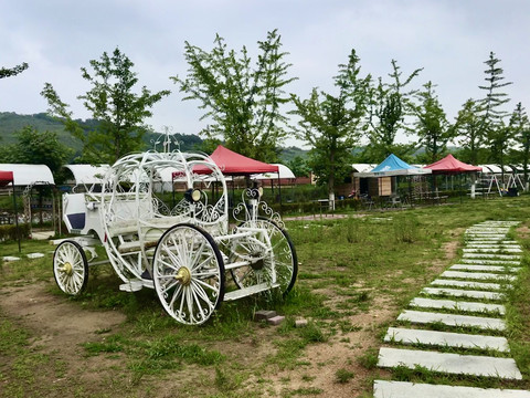 空无一花的花车