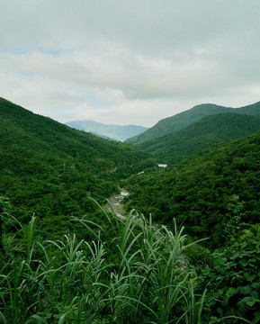 大山风光