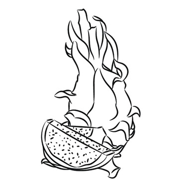 火龍果黑白插畫